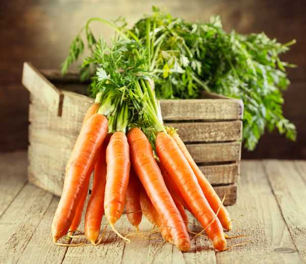 Оптимальные условия хранения моркови: советы профессионалов