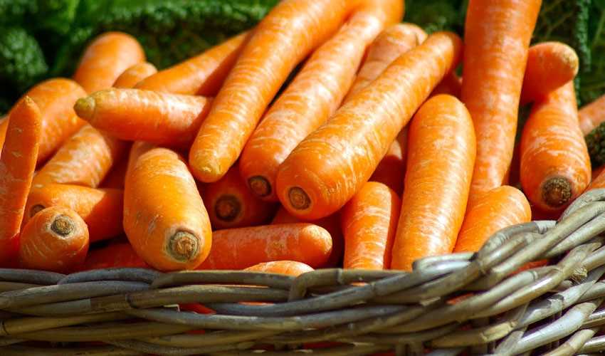 Как правильно хранить морковь, чтобы она не портилась и не теряла свои полезные свойства?