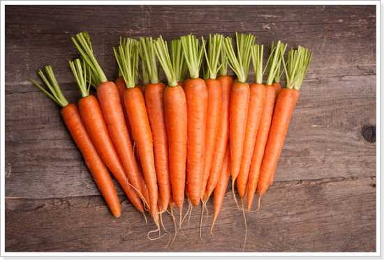 Как правильно хранить морковь – обратите внимание на влажность и температуру!