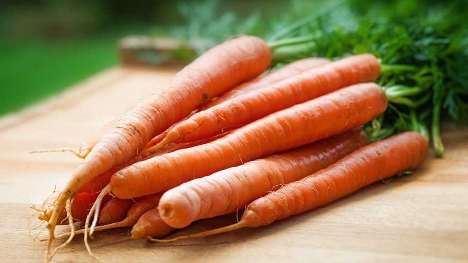 Почему влажность является важным фактором при хранении моркови?