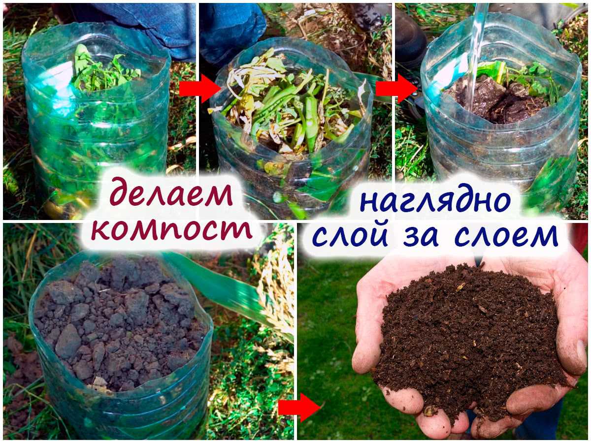 Как правильно закладывать органику в компост – слой за слоем!