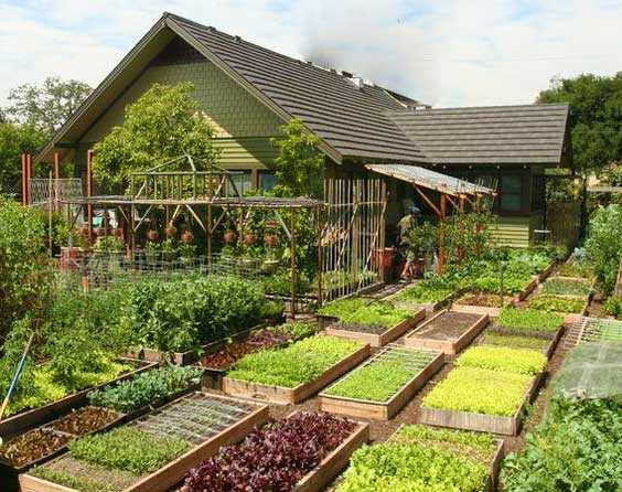 Оптимизация использования пространства на огороде