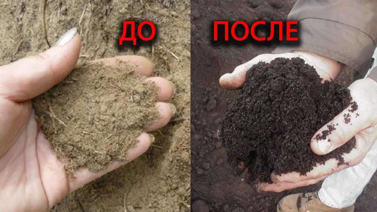 Методы улучшения глинистых почв