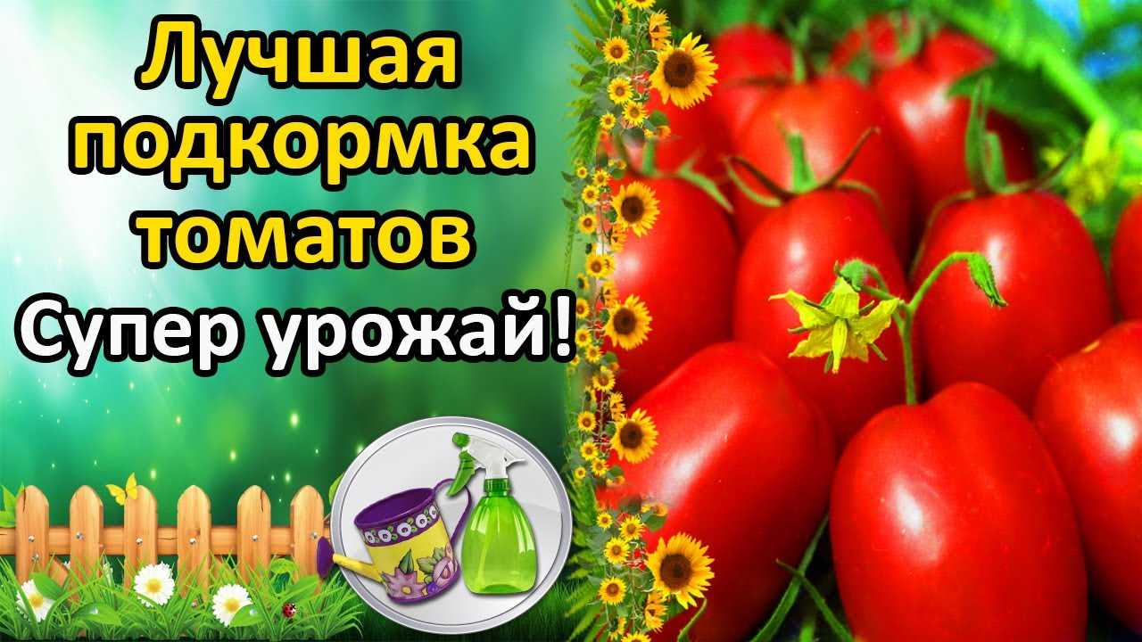 Минеральные удобрения для томатов