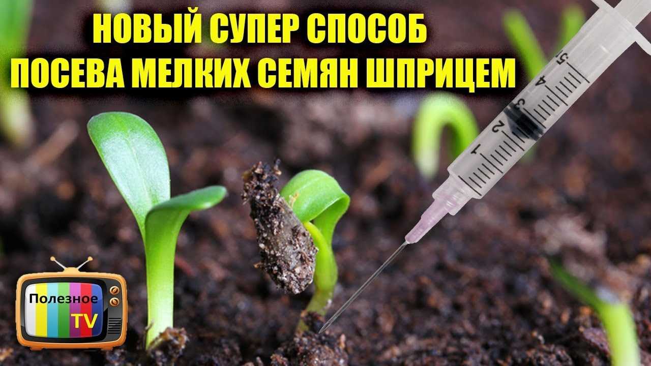 Сохранение оптимальной температуры и влажности