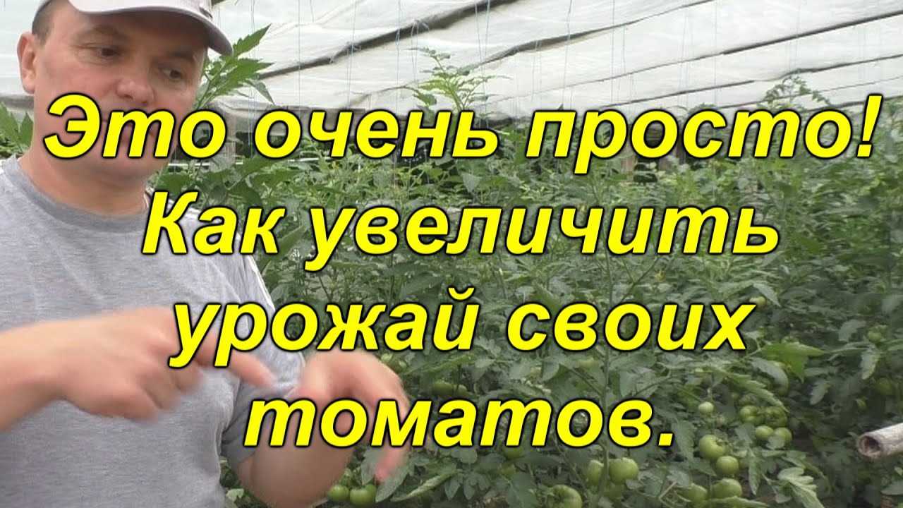 Секрет успеха