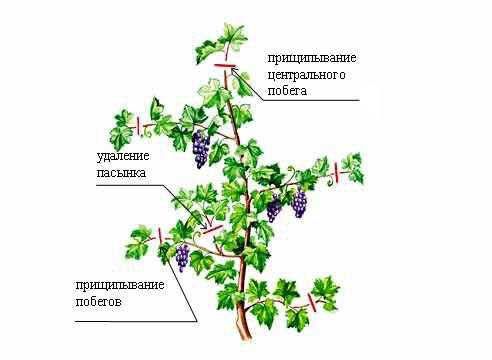 Выбор места для посадки