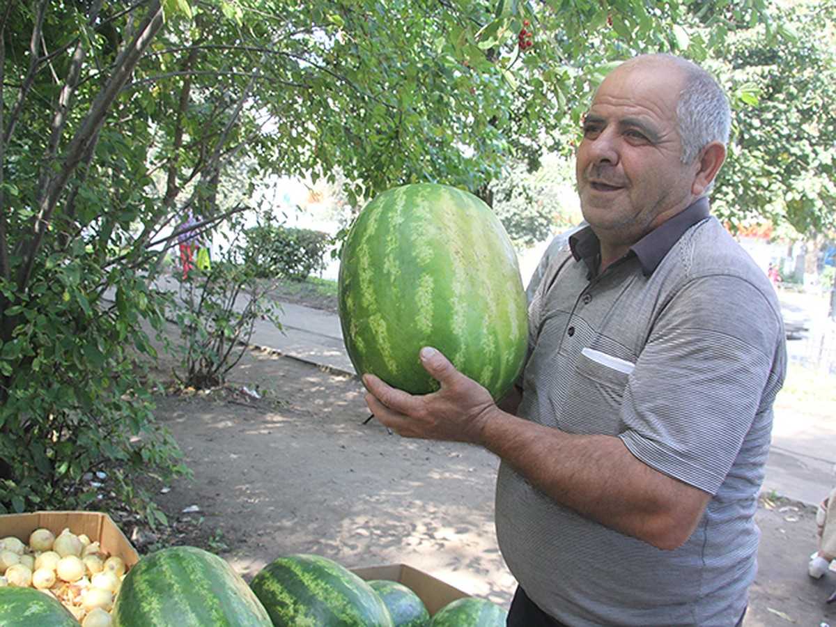 Признаки зрелости на хвостике арбуза