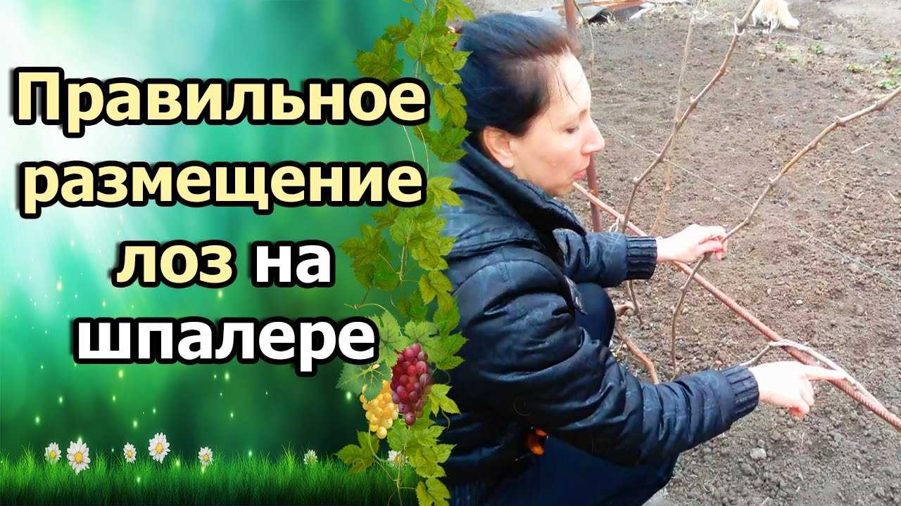 Правильное размещение