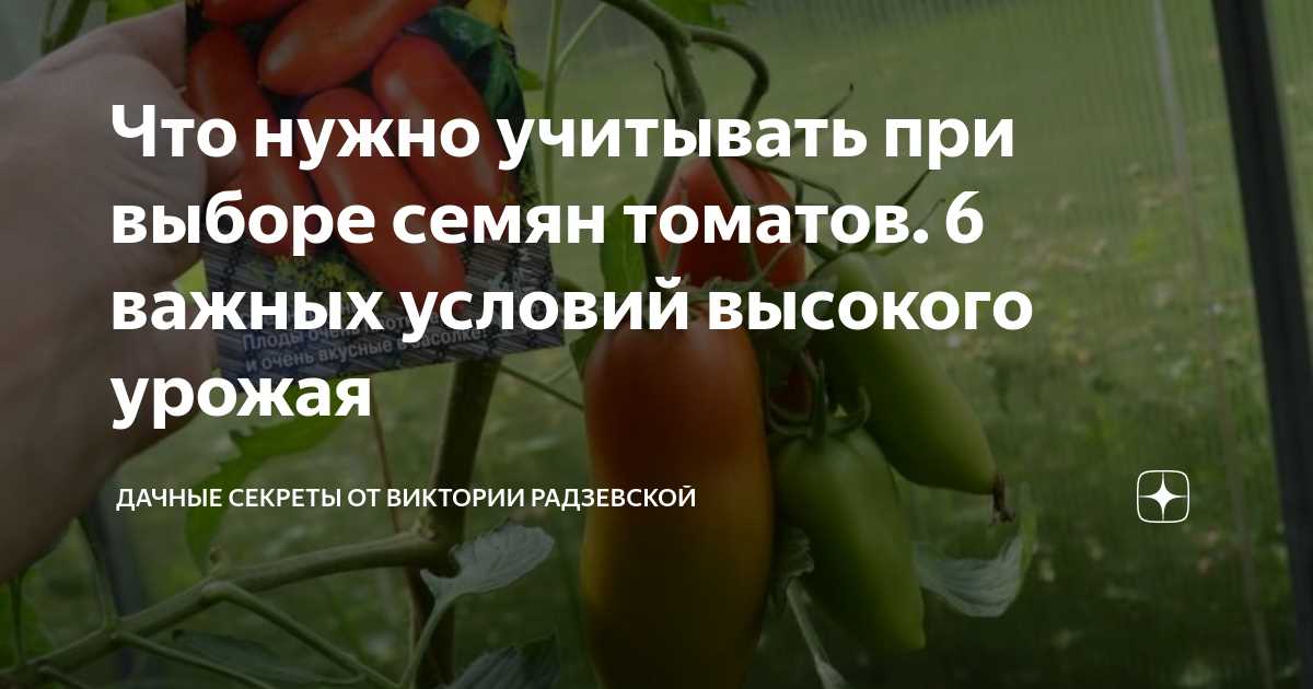 Семена декоративных сортов томатов: важные аспекты