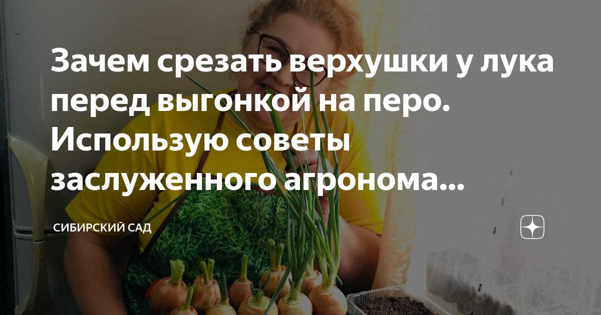 Как отличить перо лука от других частей