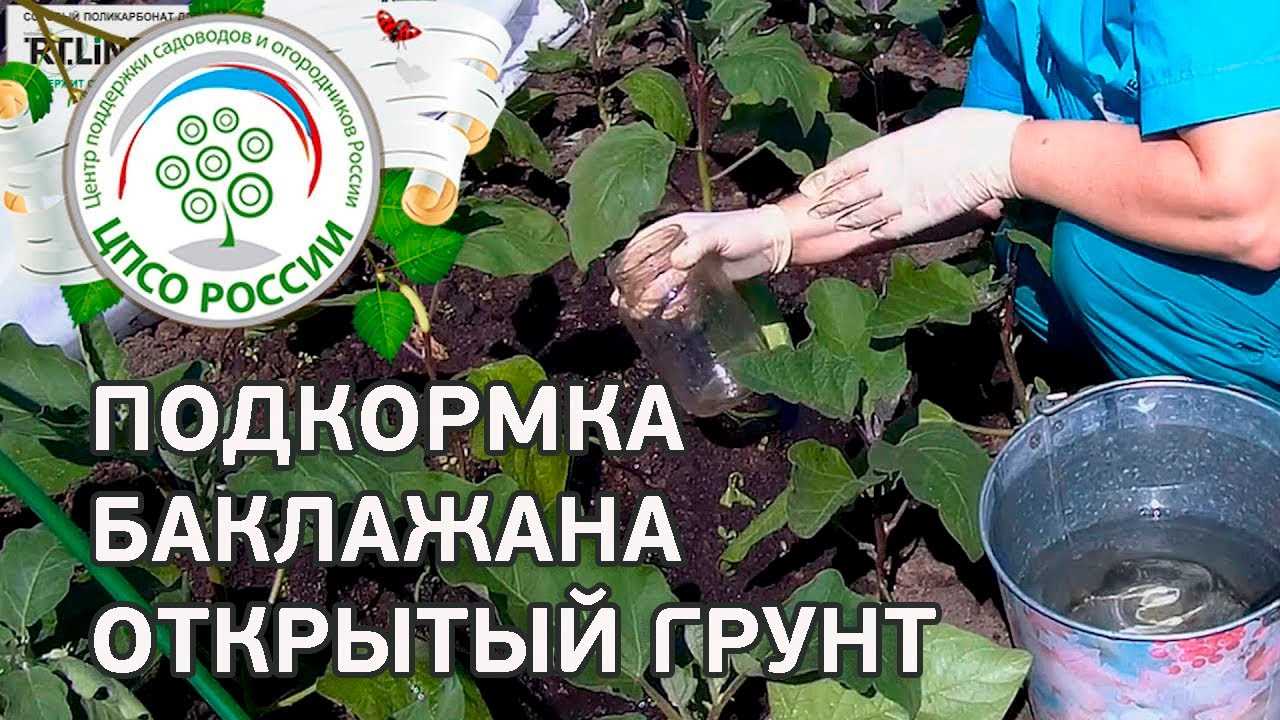 Правильное применение удобрения