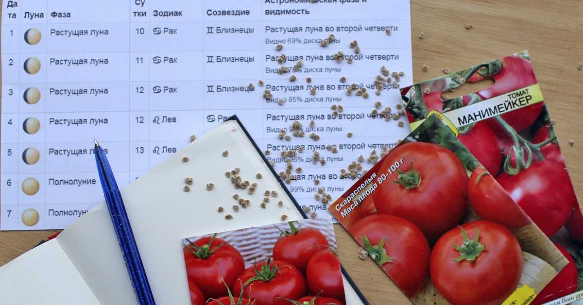 Выращивание рассады томатов в закрытом грунте