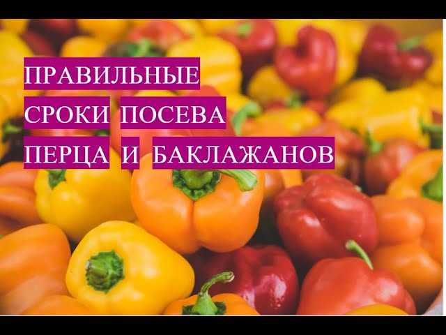 Влияние освещения и физических факторов на развитие рассады