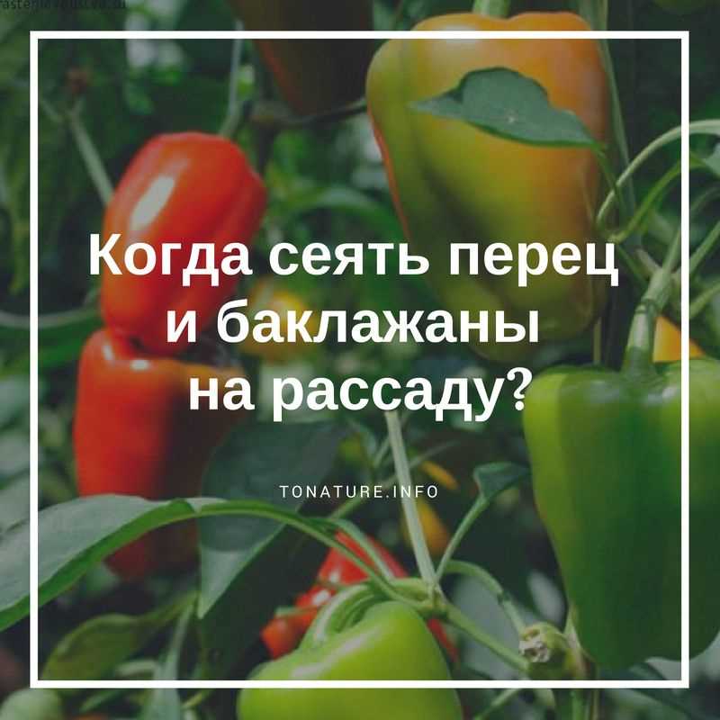 Обеспечьте достаточное освещение