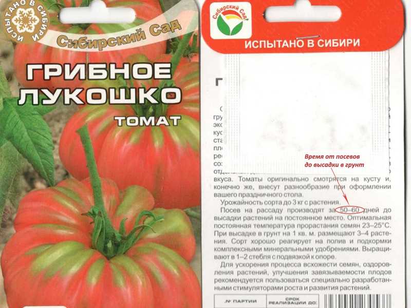 Когда сеять томаты на рассаду – способ определения сроков для любого региона и климата!