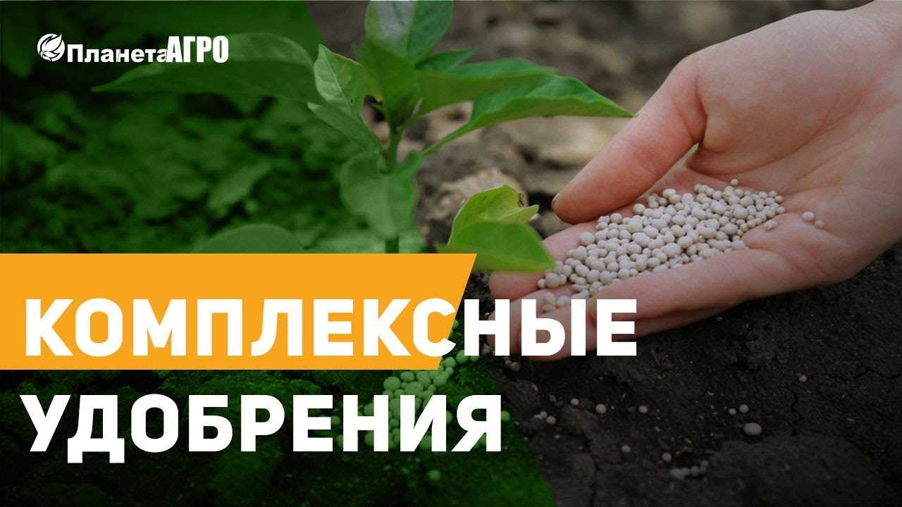 Комплексные удобрения Нитроаммофоска и Аммофос – плюсы и минусы каждого!