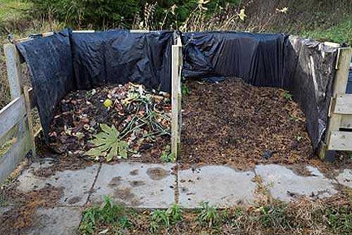 Как использовать готовый компост в саду или огороде?