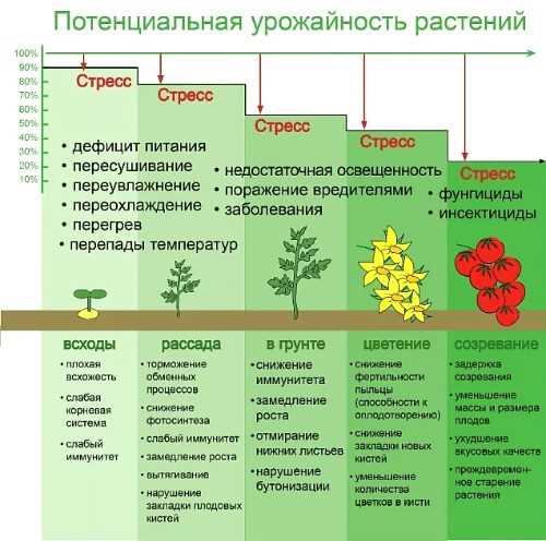 Перспективы использования кремния в сельском хозяйстве