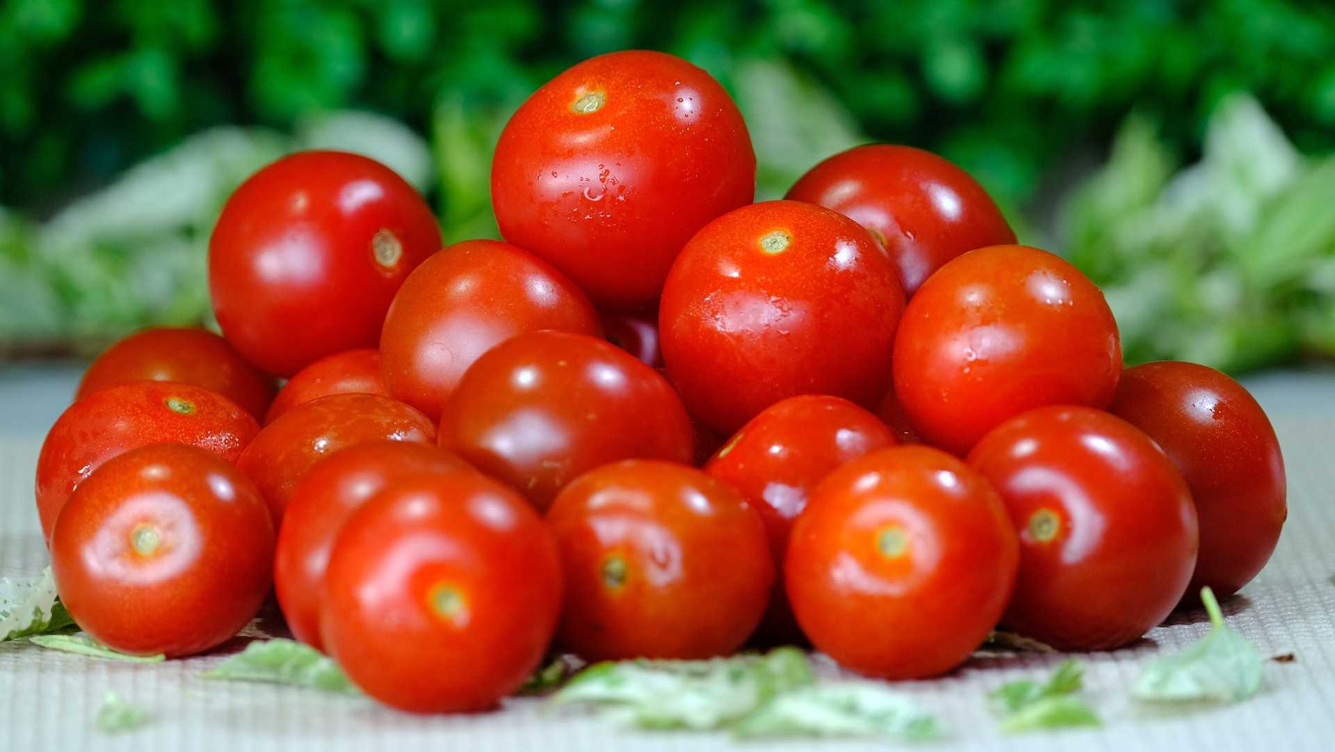 Лайфхак для раннего урожая томатов – не многие об этом знают