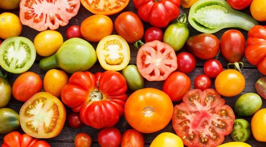 Минеральное питание томатов
