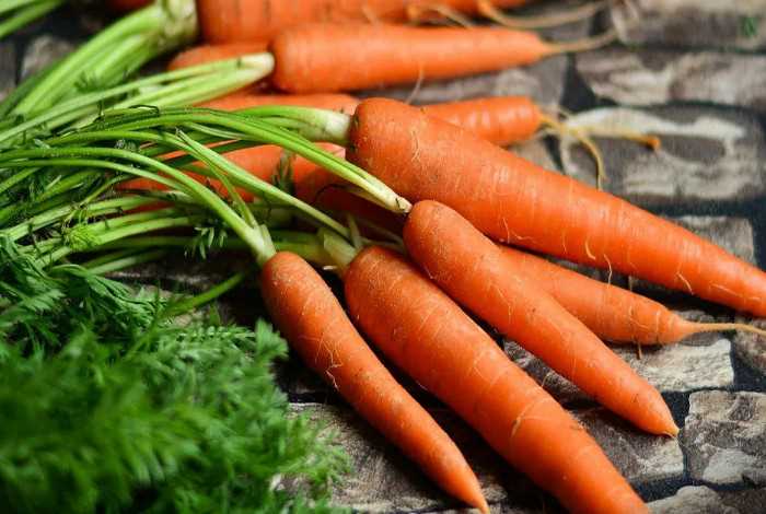 Как избежать рогообразования моркови