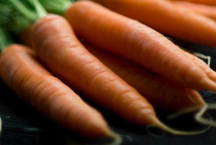 Выбор правильных сортов моркови