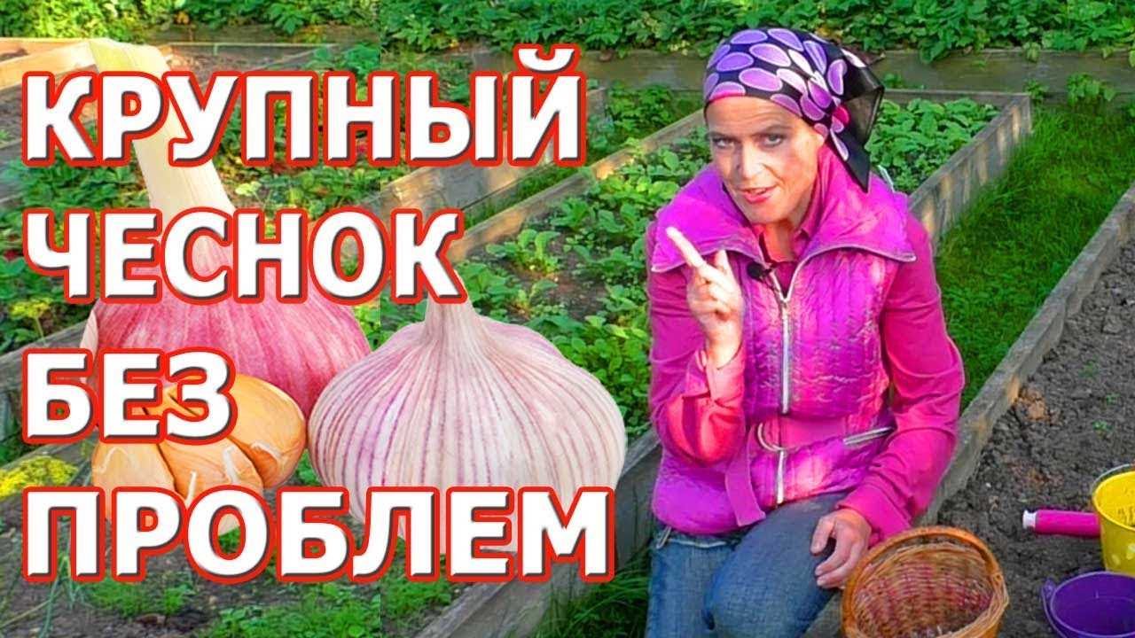 Увеличение срока хранения урожая