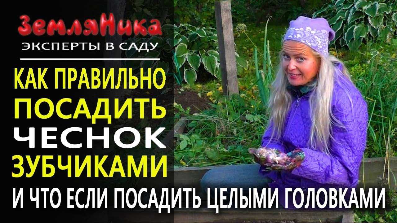  Снижение затрат на уход 