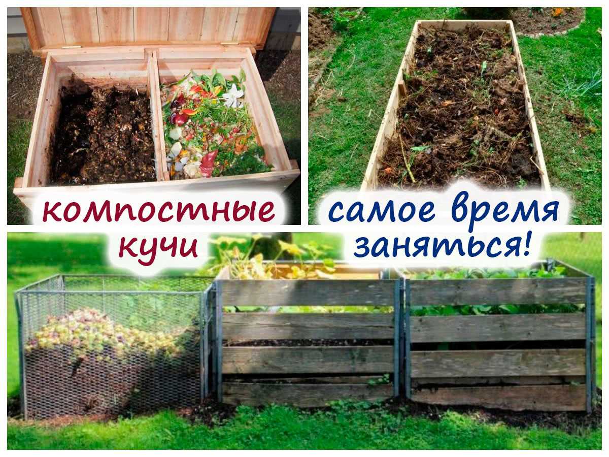 Проблемы при использовании сорняков в компосте