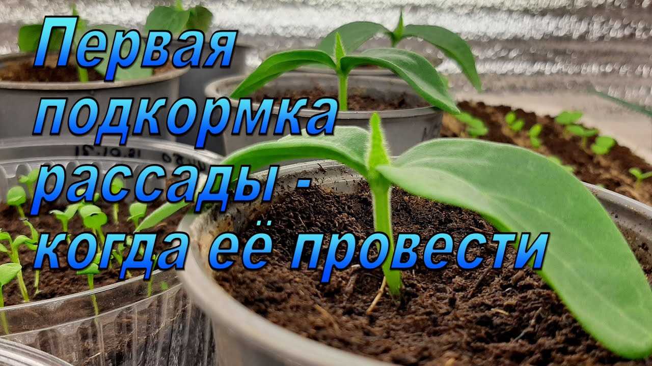 Определение подходящего момента