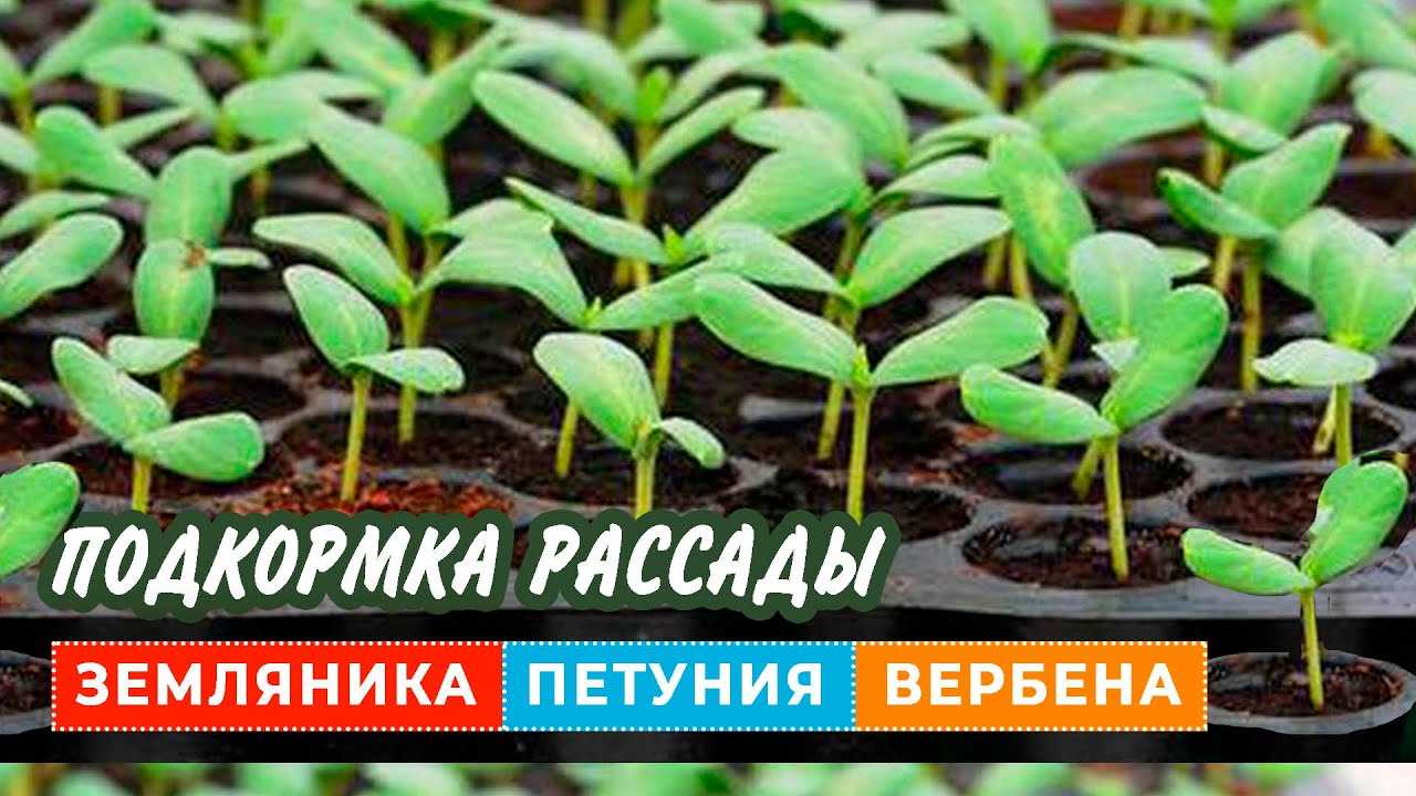 Реакция на удобрения