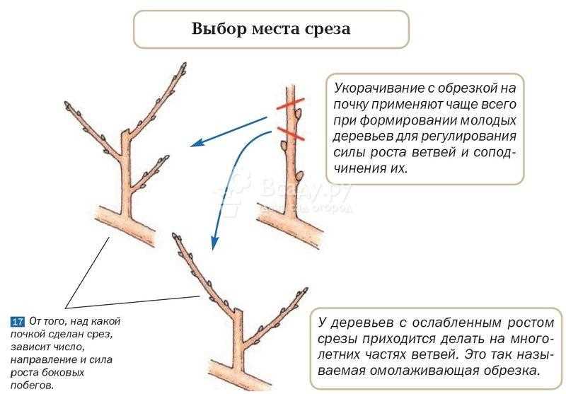 Укрепление