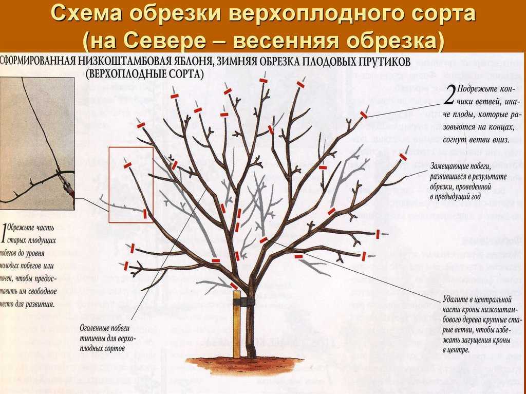 Продление