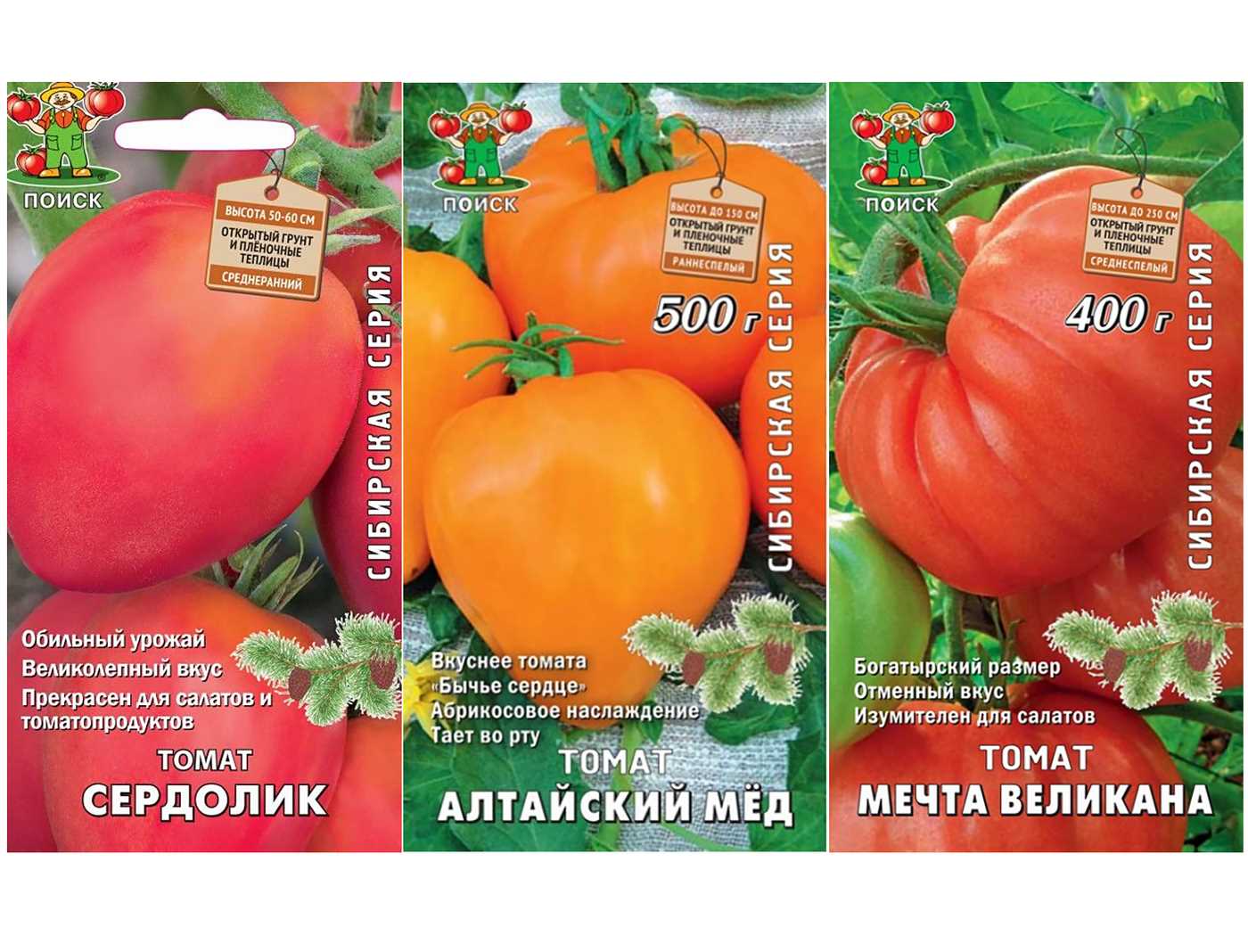 Огромные сорта томатов для теплицы