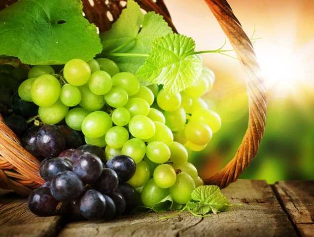 Разнообразные сорта винограда