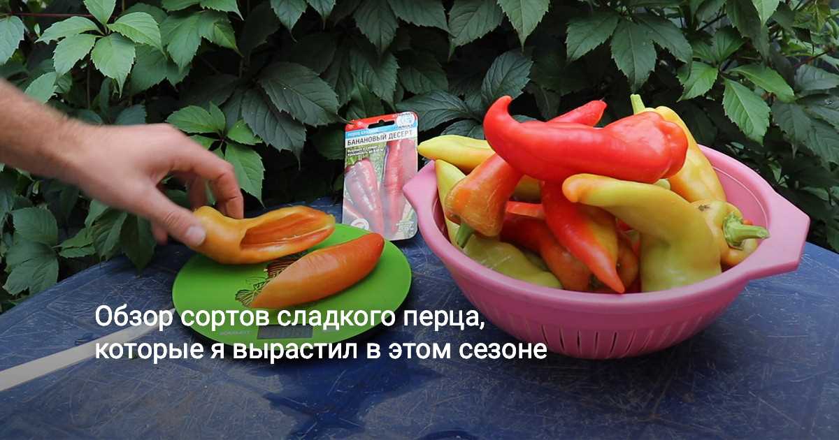 Сорт 