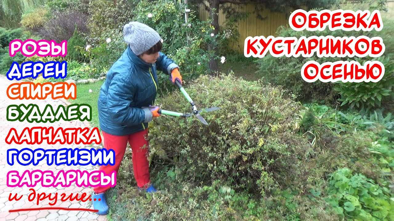 Секреты успешной обрезки