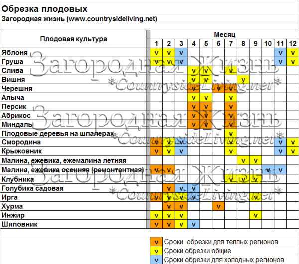 3. Перочинные ножницы