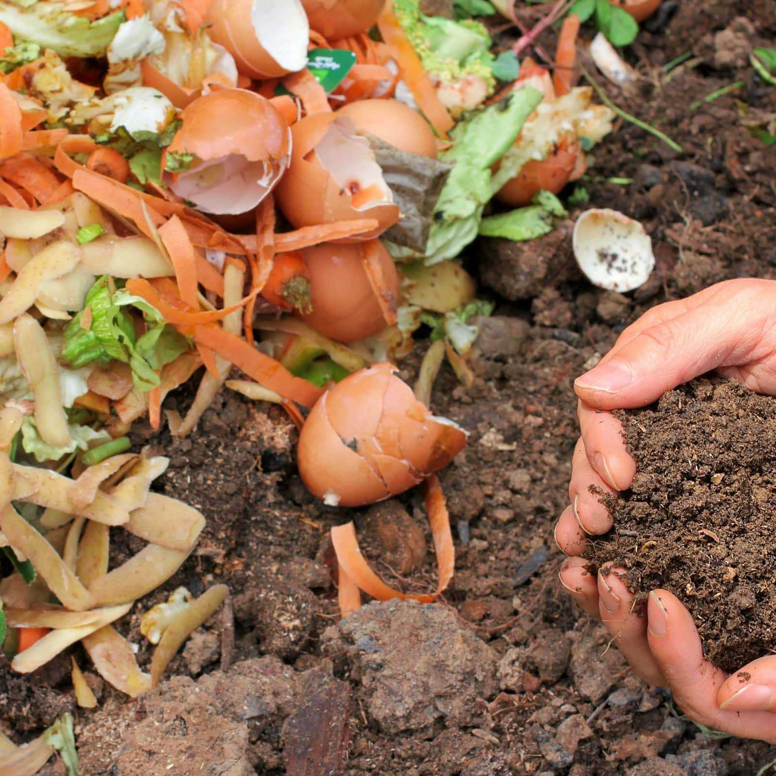 Роль органических отходов в создании качественного компоста