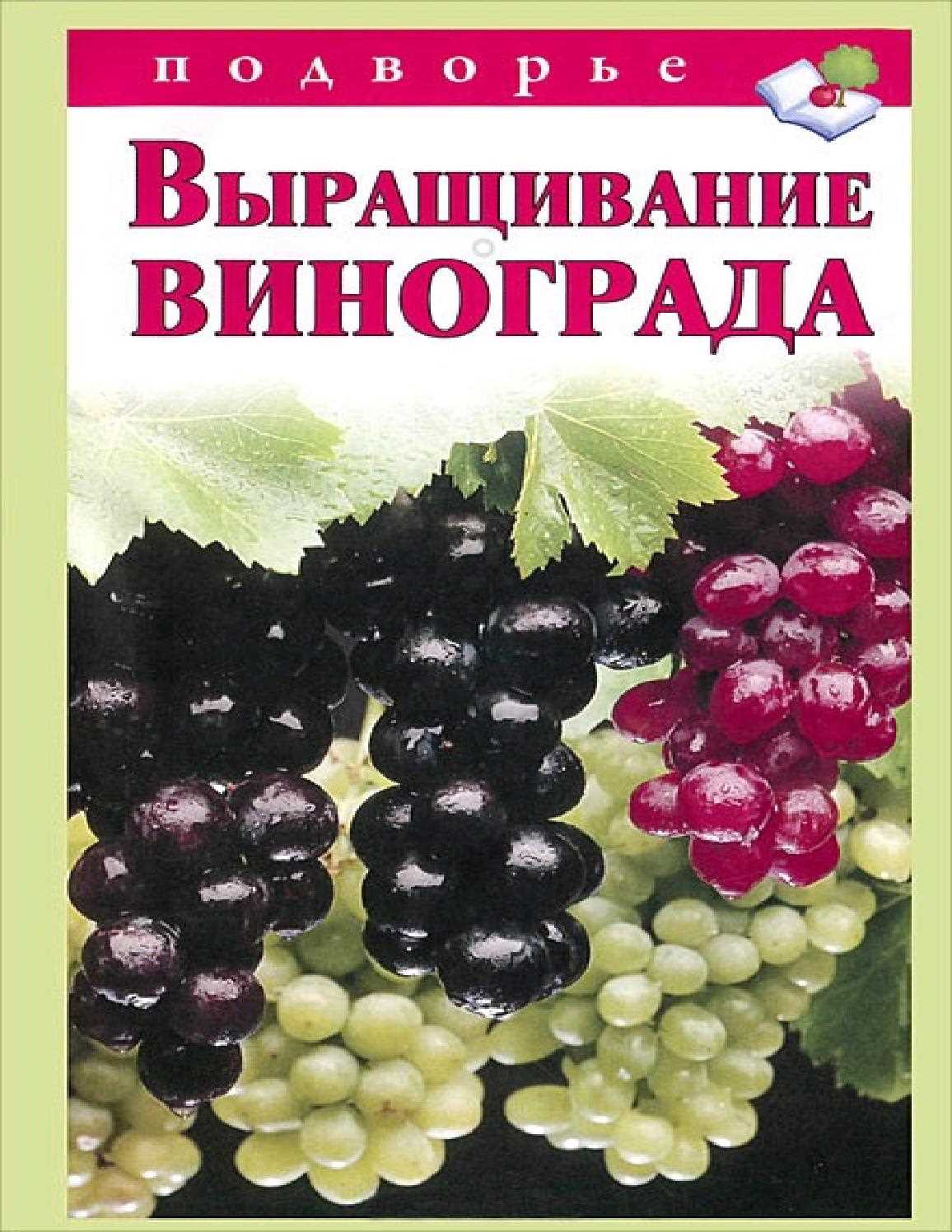 Рекомендации по пасынкованию для начинающих виноградарей