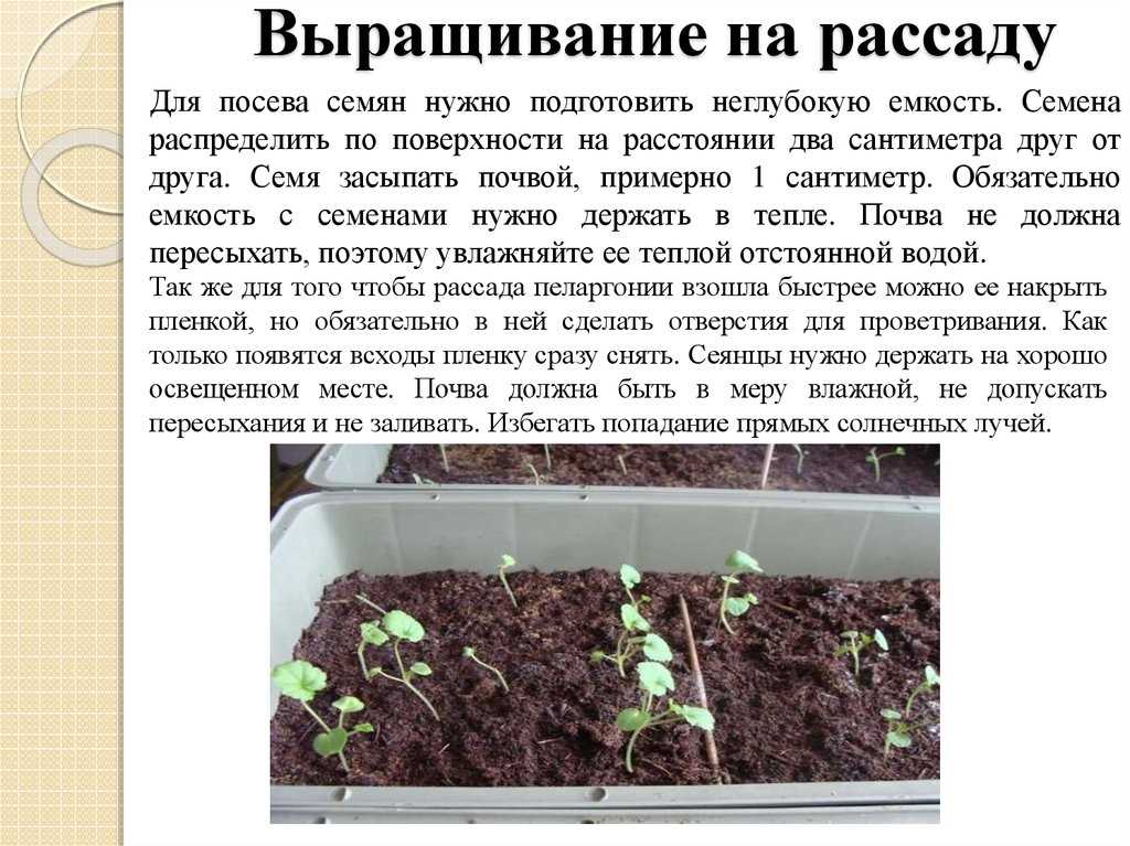 Укрепление