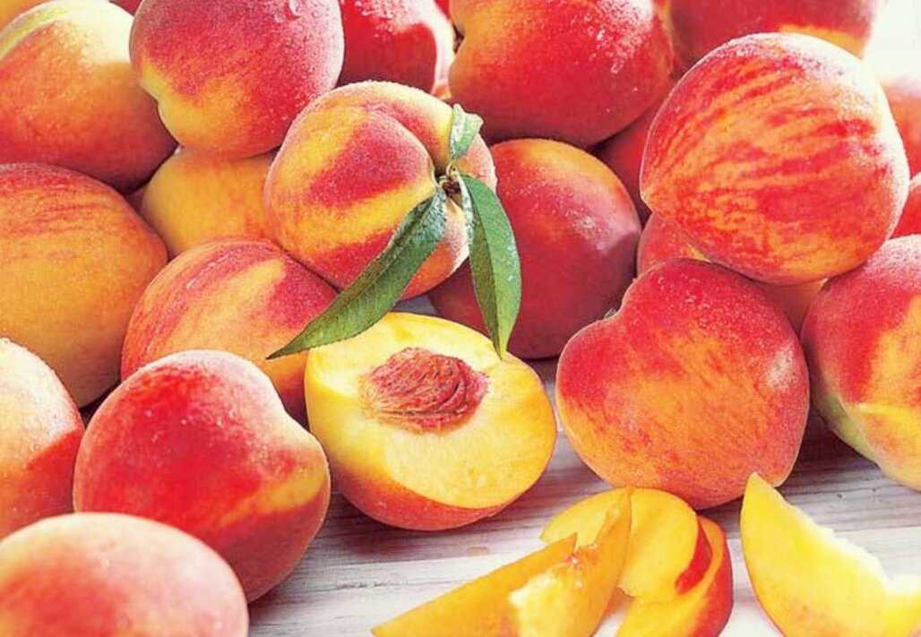 Популярные сорта персика для садового выращивания
