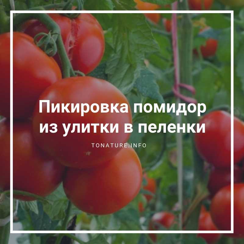 Полезные советы