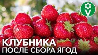 Причина 2: Улучшение циркуляции воздуха