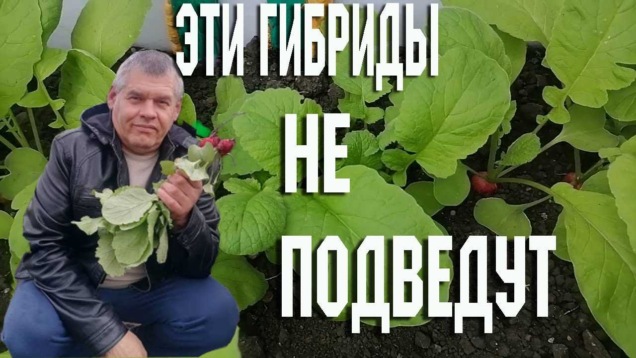 Неблагоприятные условия окружающей среды