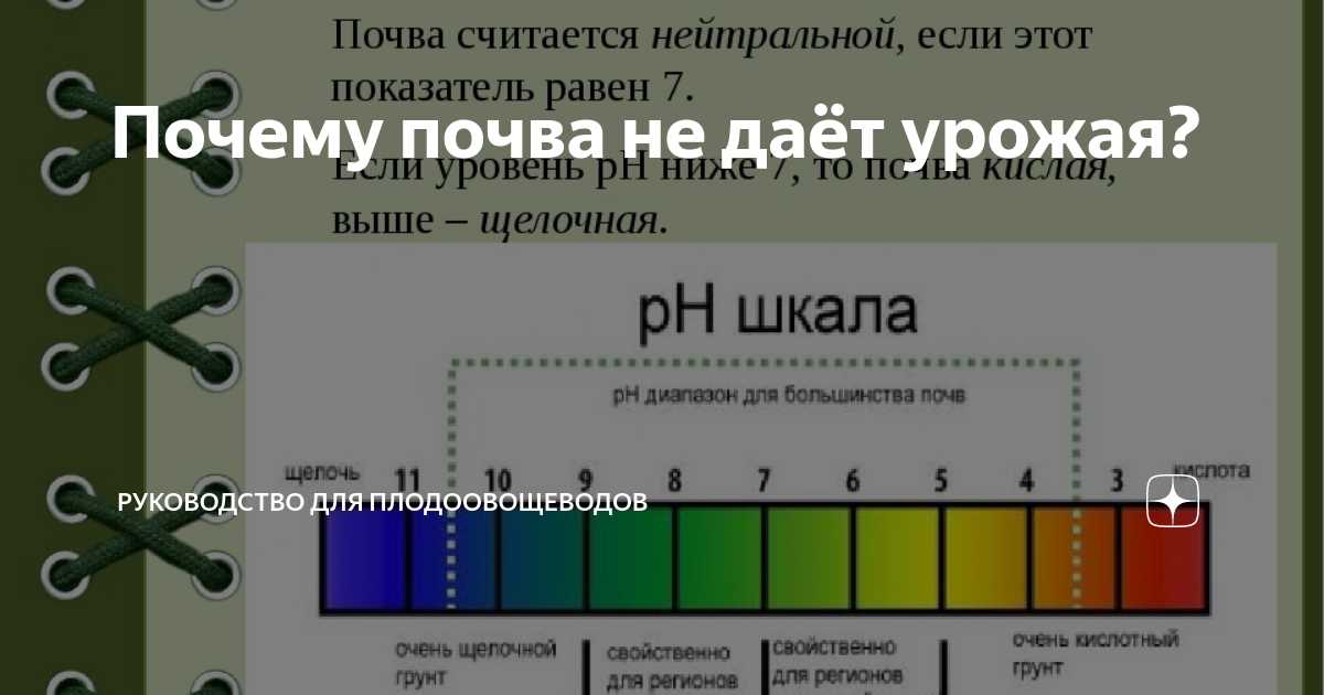 Как измерить pH грунта и определить его уровень