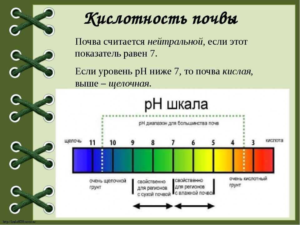 2. Используйте индикаторы pH