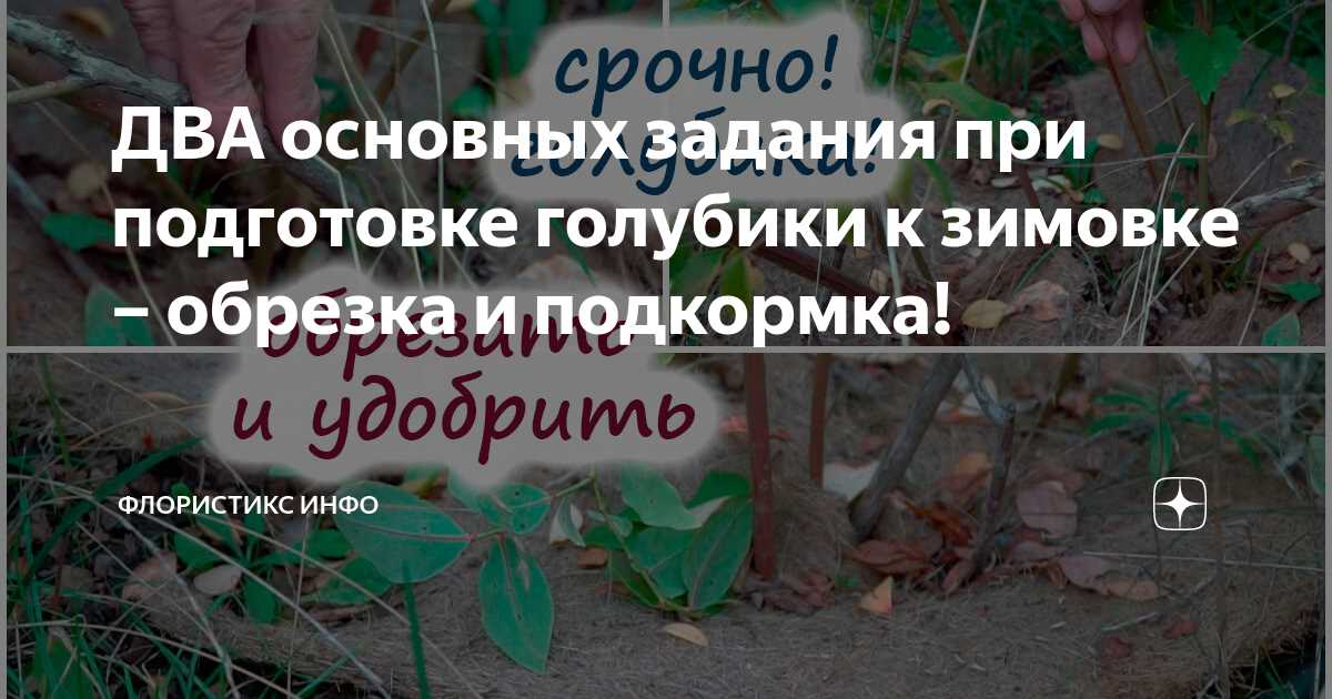 Минеральные удобрения