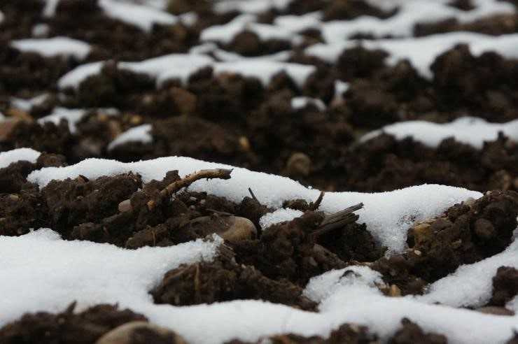 Как избежать переворота пласта при подготовке почвы к зиме?